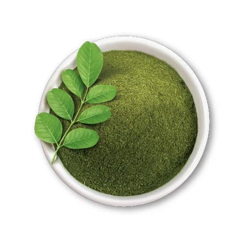 Premium moringa powder